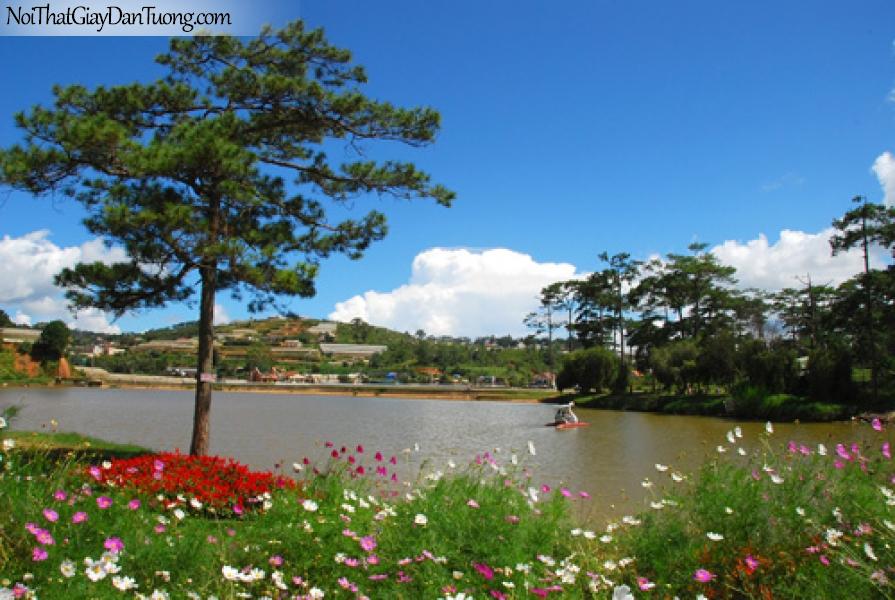 Tranh dán tường, cảnh hoa bên bờ hồ Xuân Hương Đà Lạt DA0086