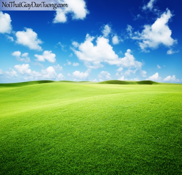 Tranh dán tường, bầu trời và thảm cỏ xanh mượt DA0167