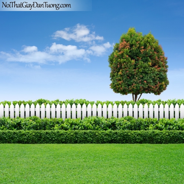Tranh dán tường, hàng rào chắn với thảm cỏ dưới bầu trời xanh với cây cổ thụ DA0350