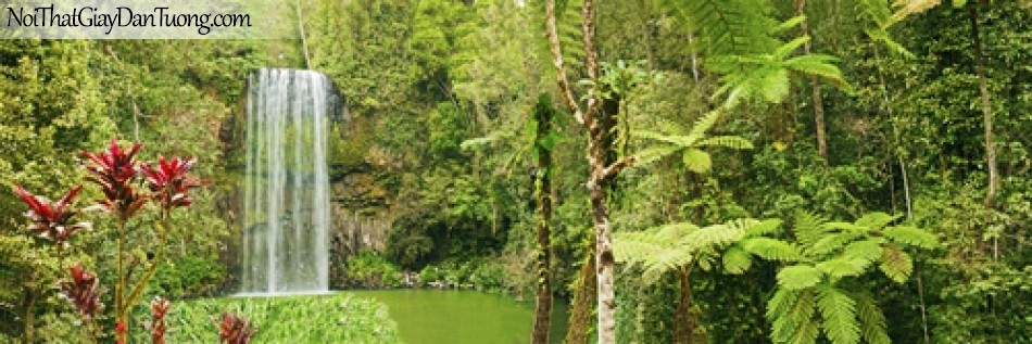 Tranh dán tường, thác nước trong rừng cây xanh DA3061