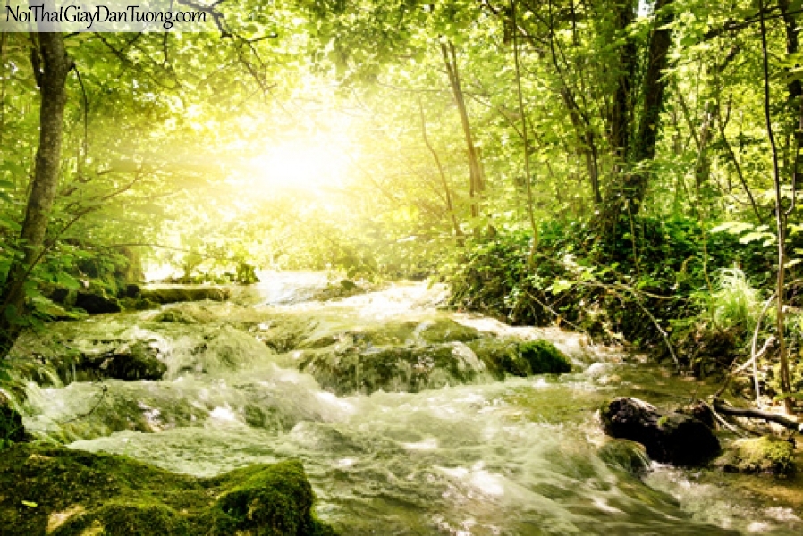 Tranh dán tường, thác nước chảy giữa rừng xanh dưới ánh nắng mùa hè DA3086