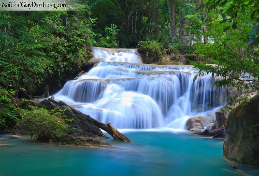 Tranh dán tường, thác nước chảy theo từng bậc tuyệt đẹp trong rừng xanh DA3092