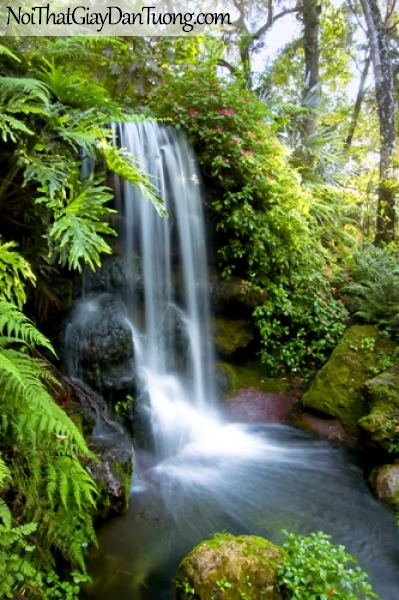Tranh dán tường, vẻ đẹp mê hồn của thác nước giữa rừng xanh DA3087