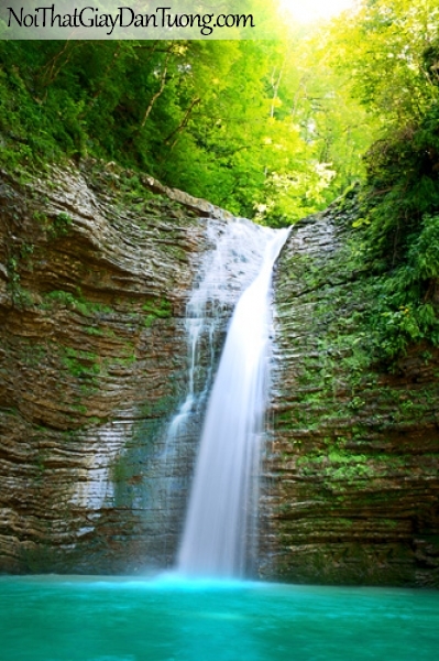 Tranh dán tường, vẻ đẹp hoàn mĩ của thác nước chảy từ rừng xanh xuống DA3113