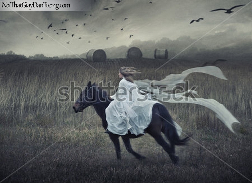 ranh dán tường | Bức tranh cô gái cưỡi ngựa trên đồng cỏ bao la rộng lớn DA062