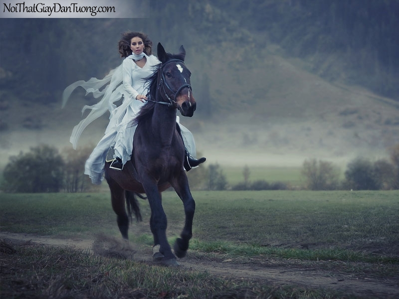 Tranh dán tường | Bức tranh cô gái cưỡi chú ngựa trên thảo nguyên bao la rộng lớn DA063