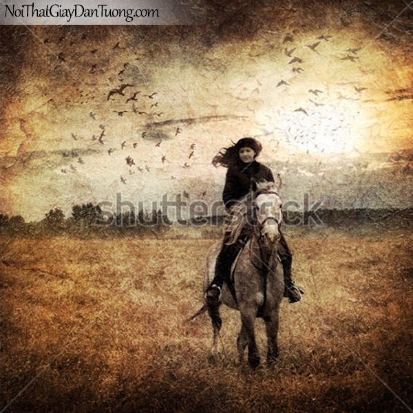 Tranh dán tường | Bức tranh cô gái cưỡi chú ngựa trên thảo nguyên giữa bầu trời chim DA077
