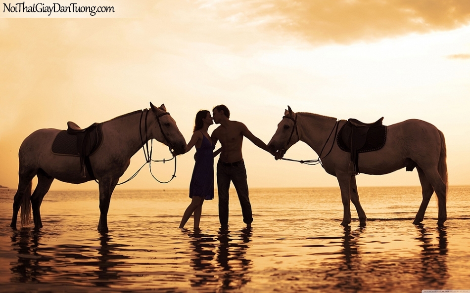 Tranh dán tường | Bức tranh lãng mạn của đôi tình nhân dắt 2 chú ngựa DA070