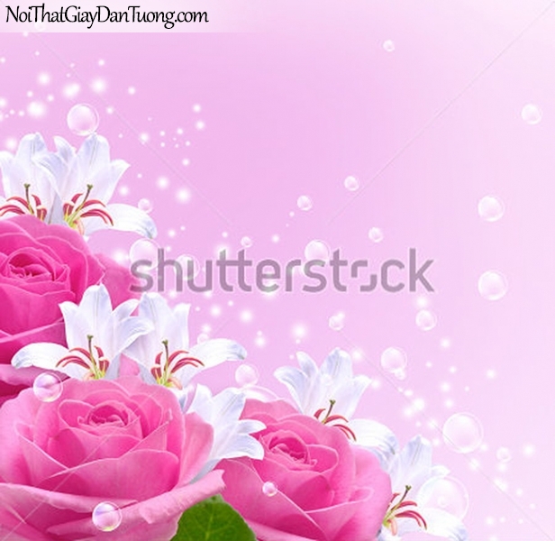 Tranh dán tường | Bức tranh những bông hoa hồng khoe sắc cùng với những bông hoa lan DA2290