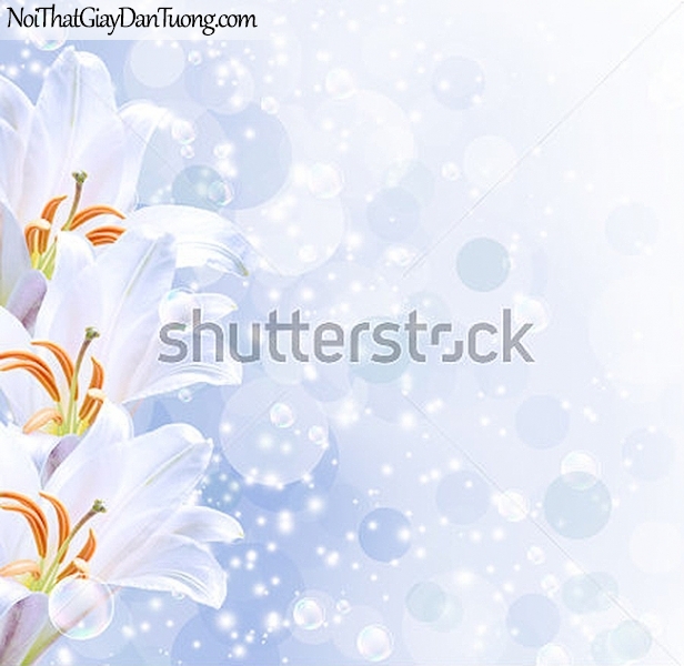 Tranh dán tường | Bức tranh những bông hoa lan đang khoe sắc cùng với những bong bóng nước DA2291