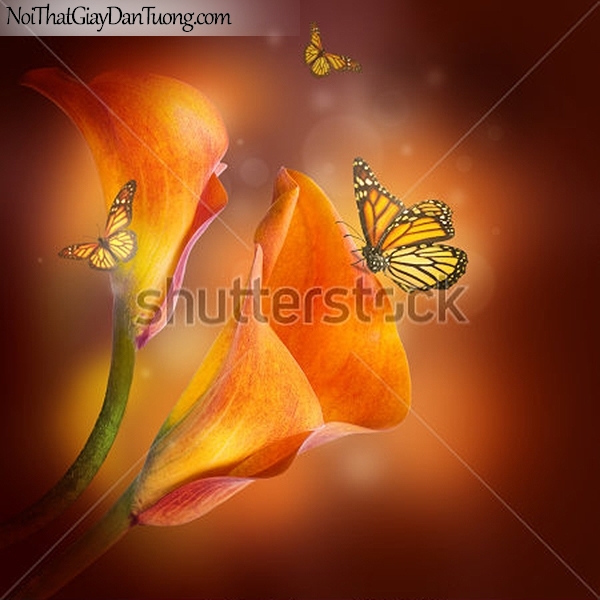 Tranh dán tường | Bức tranh tuyệt đẹp về những bông hoa lan và những chú bướm DA2314