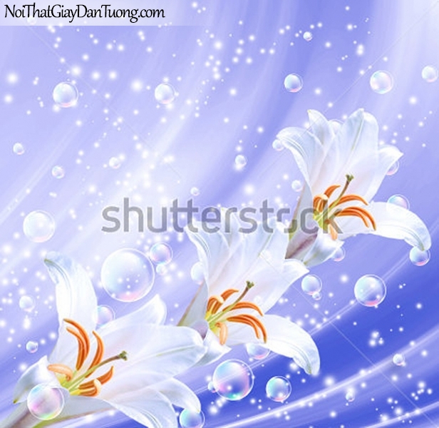 Tranh dán tường | vẻ đẹp của những bông hoa lan với những bong bóng nước DA2292