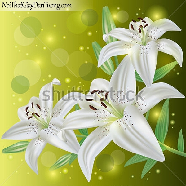 Tranh dán tường | Bức tranh những bông hoa loa kèn trắng tuyệt đẹp DA2368