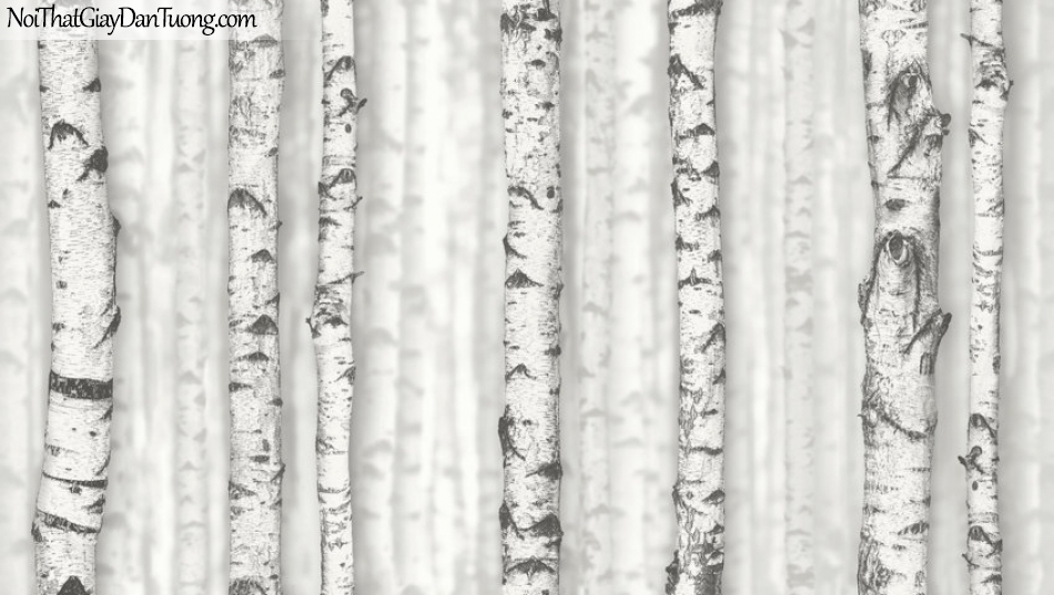 Giấy dán tường giả gỗ, những cây khô trên nền giấy giả gỗ, màu trắng xám 2632-1 g