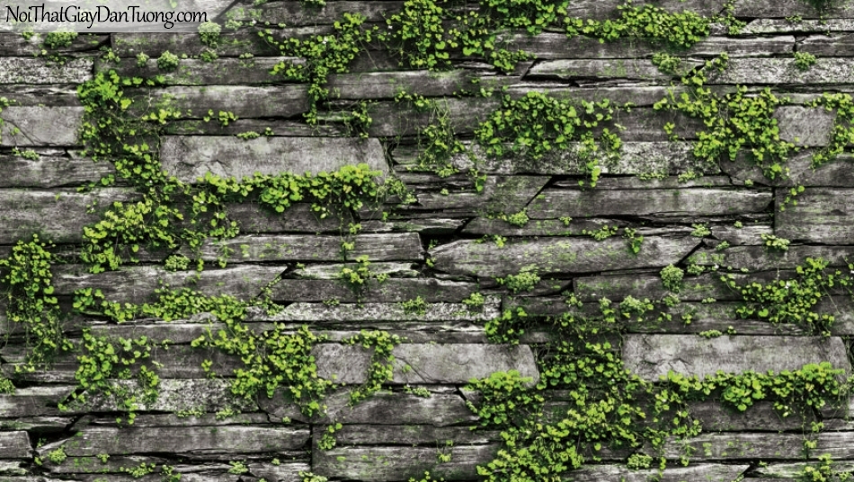 Giấy dán tường Natural Hàn Quốc 87029-1, giả gạch, giả đá, giả gỗ 3D, giấy dán tường giả đá, cây lá, dây leo