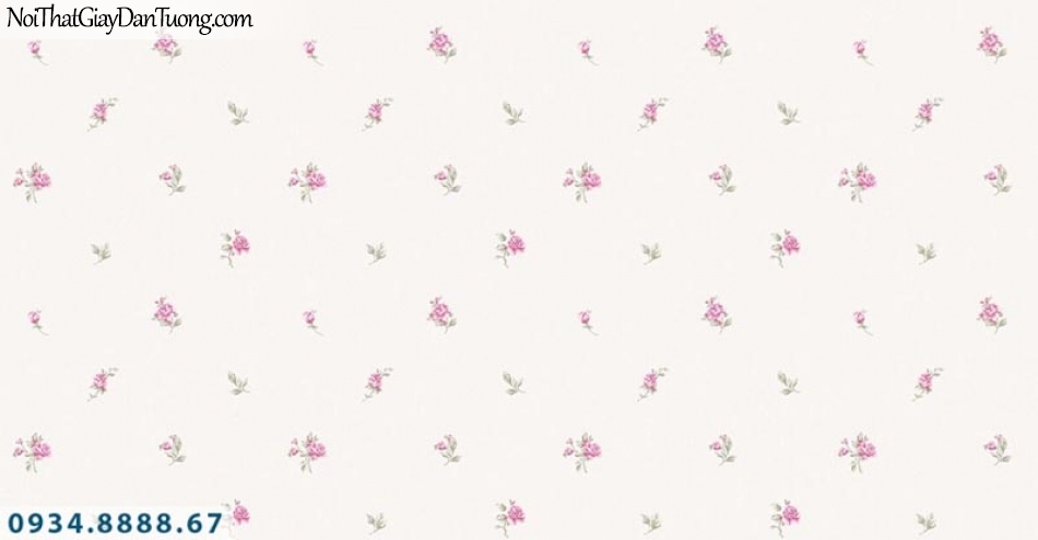 Giấy dán tường AURORA, Giấy dán tường hoa văn bông hoa nhỏ màu hồng, nền màu kem 4205-2