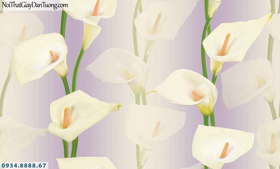 Lily | Giấy dán tường Lily 36013-4 | giấy dán tường hoa loa kèn màu tím, hoa lan Ý đẹp, bông hoa dây leo 3D