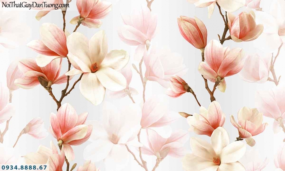 Lily | Giấy dán tường Lily 36014-2 | giấy dán tường hoa mộc lan màu hồng 3d, hoa loa kèn đẹp, cành hoa mọc lan màu hồng trắng