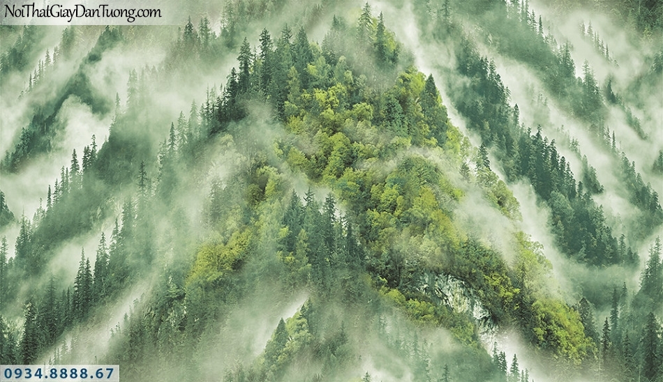 Assemble | Giấy dán tường khu rừng, núi nhìn từ trên cao xuống, sướng bình mình sương trên cây| Giấy dán tường Assemble 40113-1