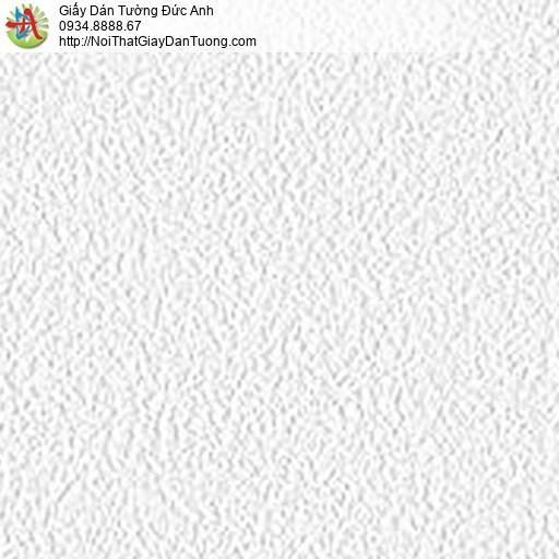5536-1 Giấy dán tường dạng gân màu trắng, giấy gân trơn đơn giản