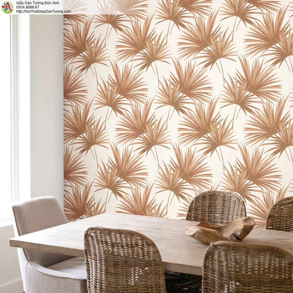 Hoa bồ công anh - loài hoa bé bỏng mỏng manh trước gió